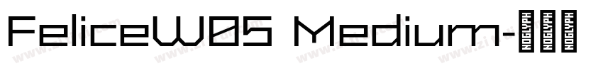 FeliceW05 Medium字体转换 FeliceW05 Medium字体转换